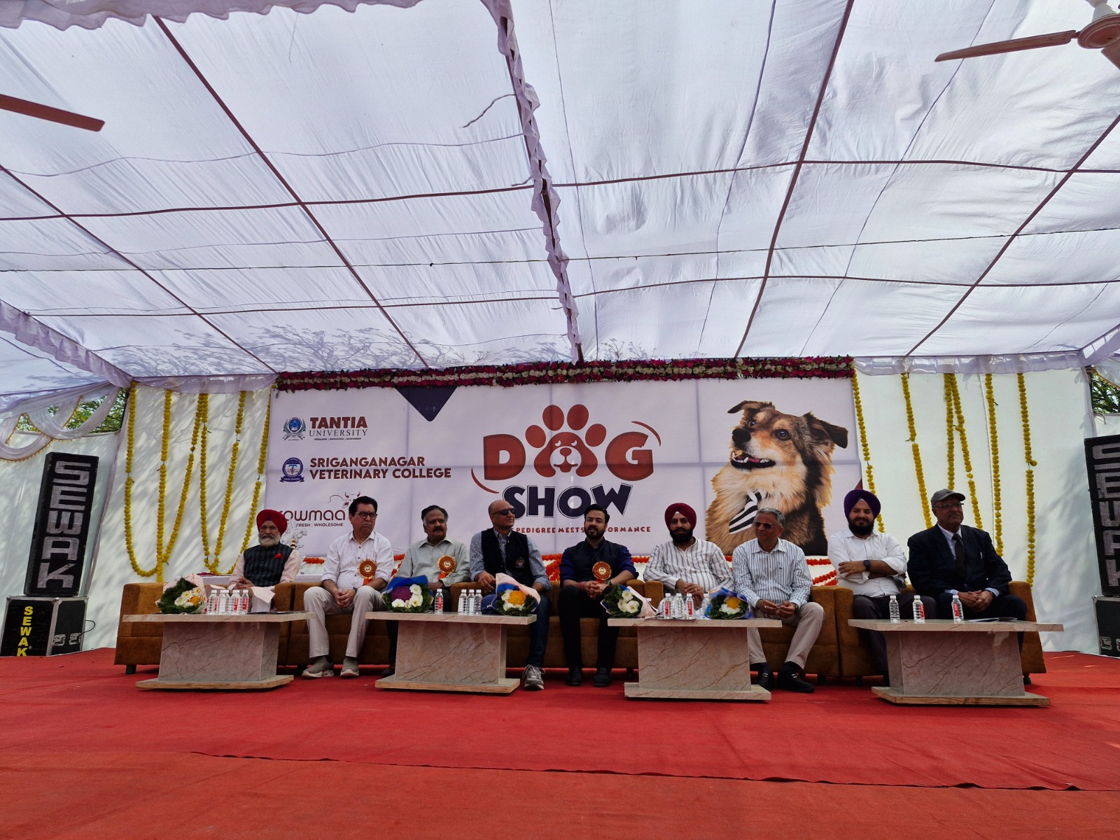 Tantia University Dog Show 2026 — Main Stage