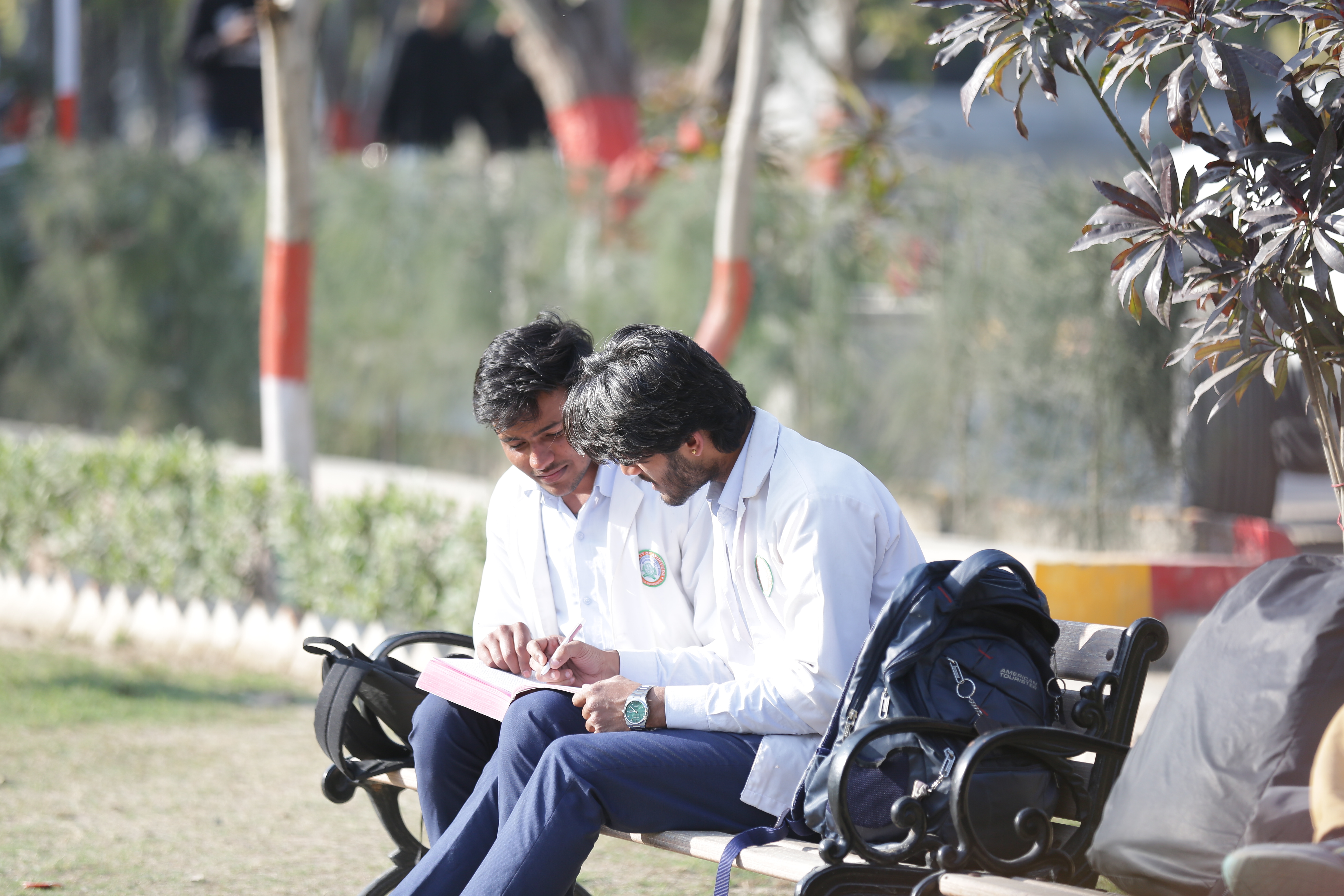 Students studying on campus bench — Tantia University