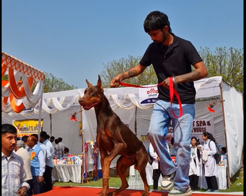 Screenshot 2026-04-13 141355